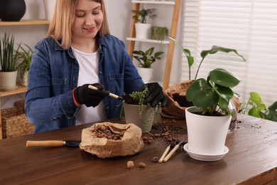 Photo of Woman transplanting houseplant at wooden table indoors