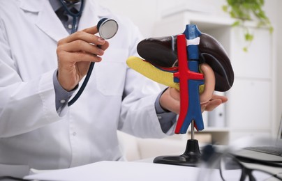 Photo of Doctor with stethoscope and liver model at workplace, closeup