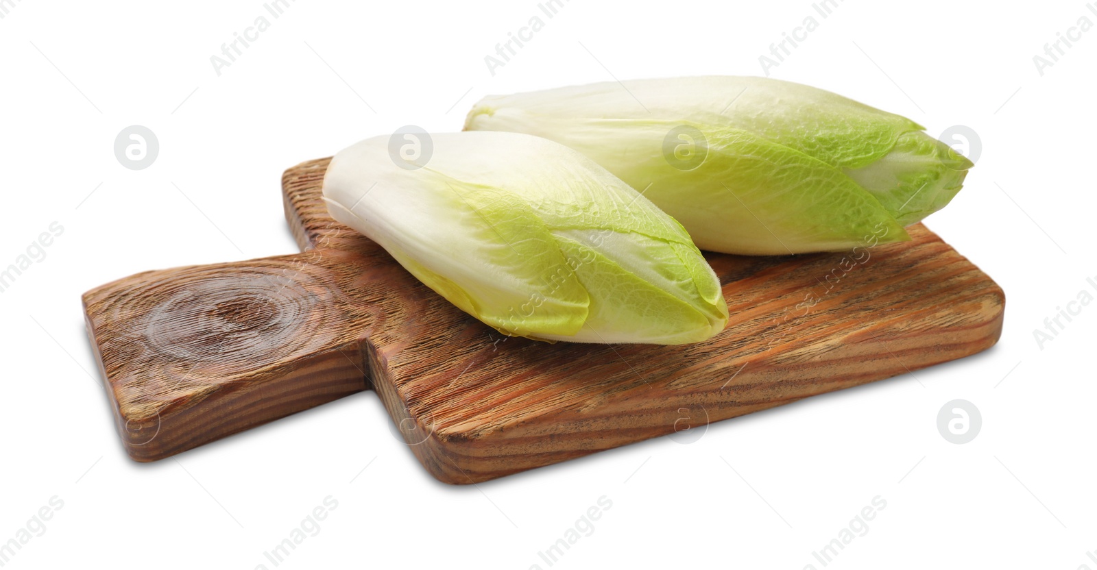 Photo of Raw ripe chicories on white background. Belgian endive