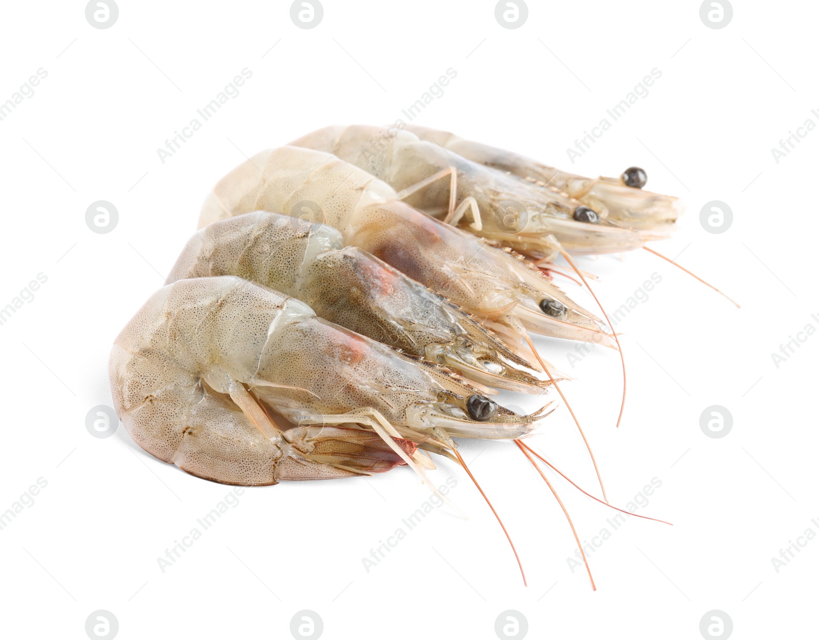 Photo of Fresh raw shrimps isolated on white. Healthy seafood