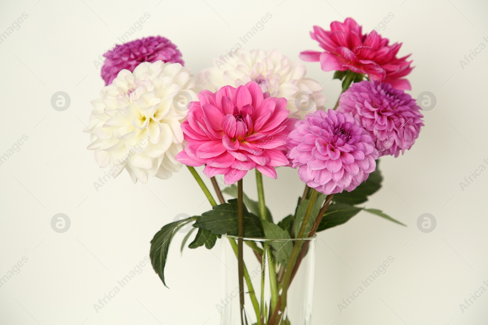 Photo of Bouquet of beautiful Dahlia flowers near white wall, closeup