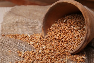 Photo of Overturned pot with scattered wheat grains on sack cloth, closeup