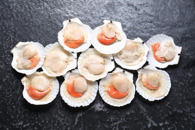 Photo of Fresh raw scallops with shells on black textured table, flat lay