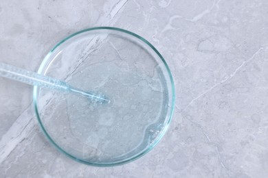 Glass pipette and petri dish with liquid on grey marble table, top view. Space for text