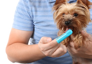 Man brushing dog's teeth on white background, closeup