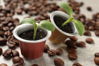 Photo of Coffee capsules with seedlings and beans on light grey table, closeup