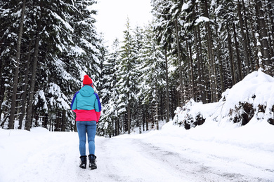 Photo of Woman walking along empty road in pine forest. Winter vacation
