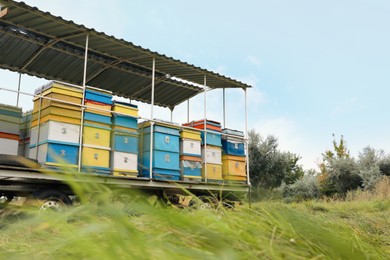 Photo of Many colorful bee hives at apiary outdoors
