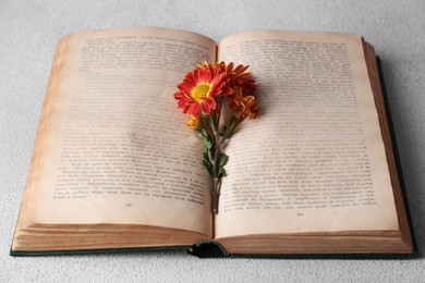 Photo of Book with chrysanthemum flowers as bookmark on light gray textured table