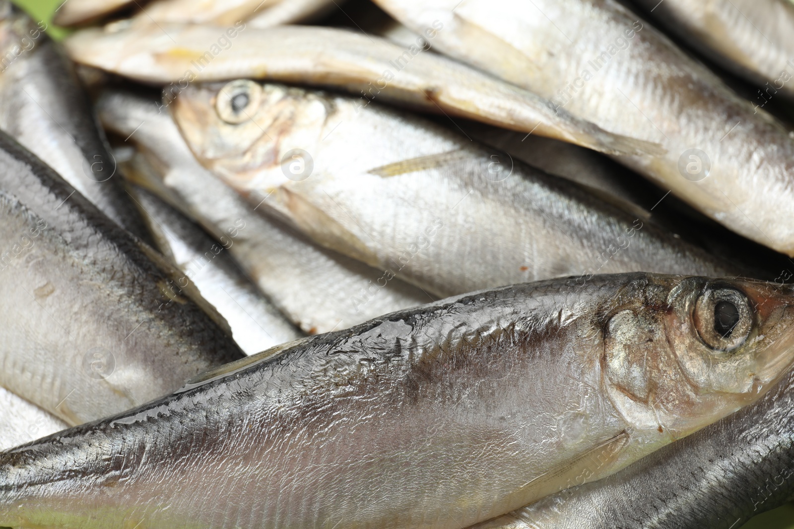 Photo of Fresh raw sprats as background, closeup view