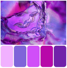 Image of Color palette appropriate to photo of beautiful abstract ink painting