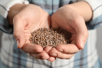 Woman holding pile of radish seeds, closeup. Vegetable planting