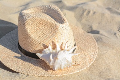 Photo of Stylish straw hat and sea shell on sandy beach, closeup