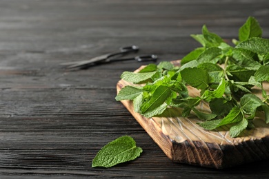 Photo of Fresh mint on wooden board, closeup