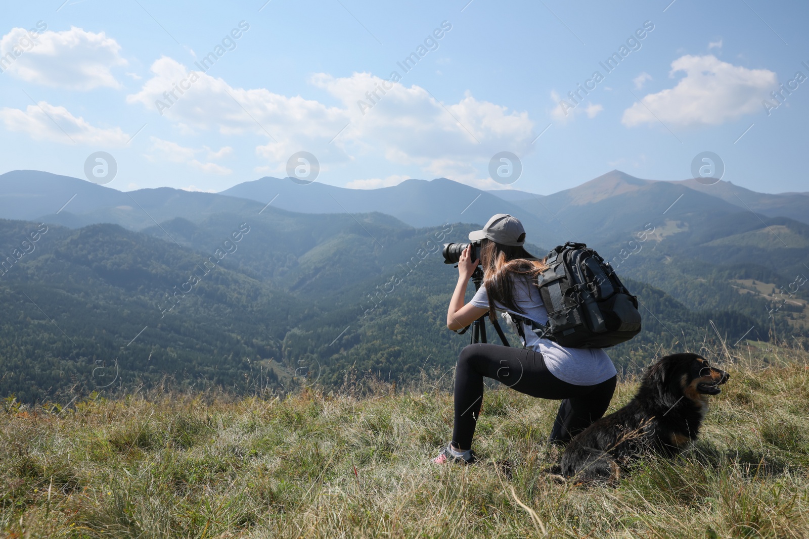 Photo of Professional photographer with dog taking picture in mountains. Space for text