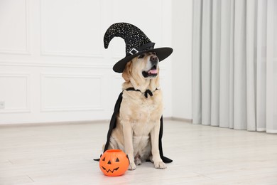 Photo of Cute Labrador Retriever dog in black cloak and hat with Halloween bucket indoors