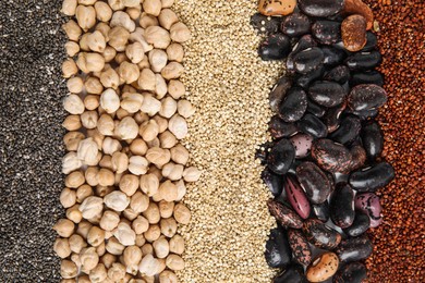 Photo of Various raw veggie seeds as background, top view