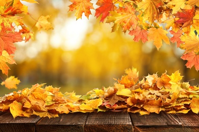 Image of Wooden surface with beautiful autumn leaves on blurred background