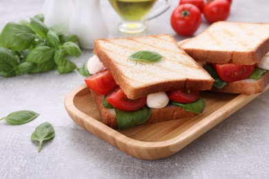 Delicious Caprese sandwiches with mozzarella, tomatoes, basil and pesto sauce on grey table, closeup