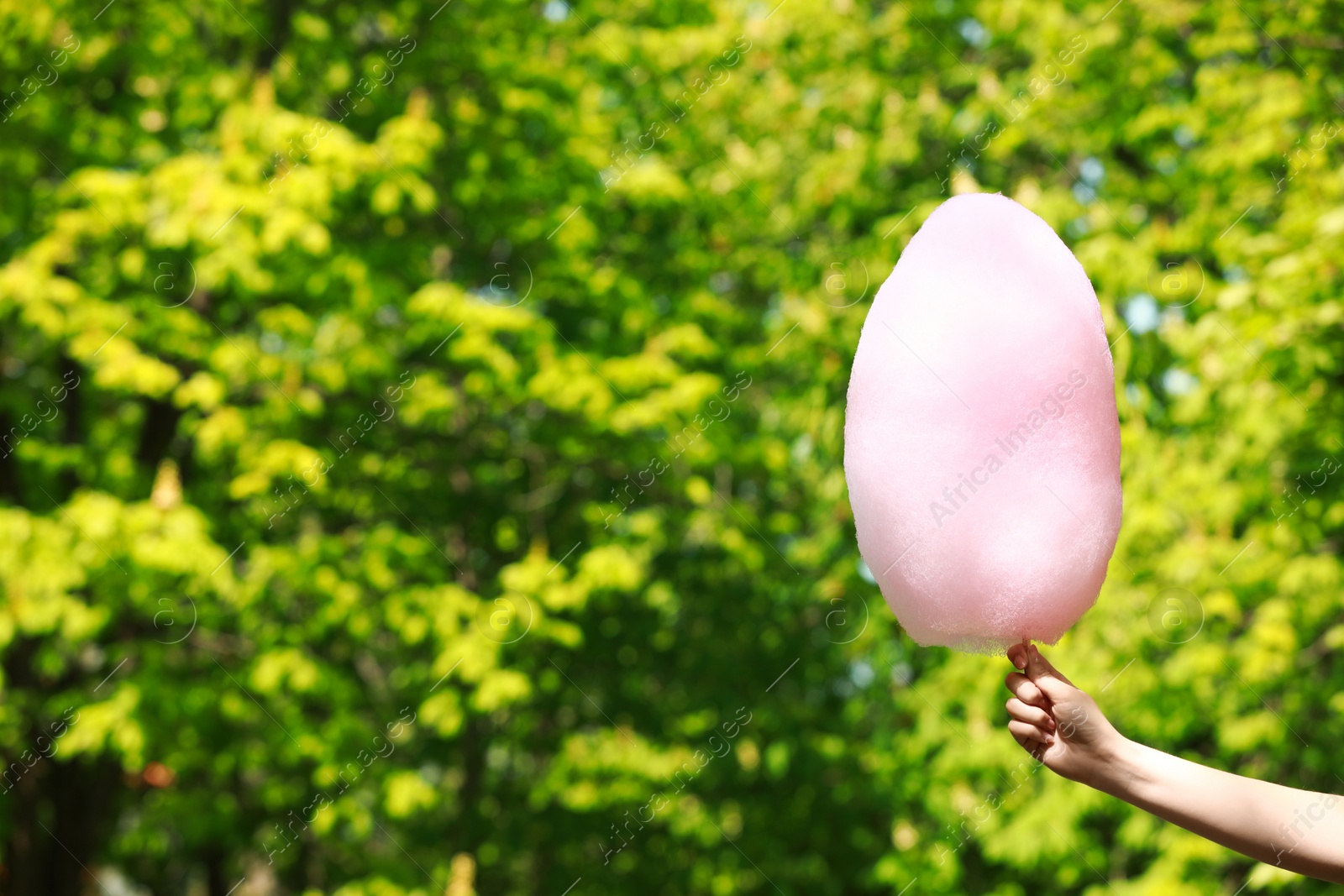 Photo of Woman holding sweet cotton candy outdoors, closeup. Space for text