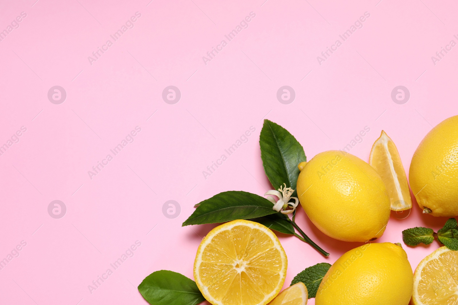 Photo of Many fresh ripe lemons with green leaves and flower on pink background, flat lay. Space for text