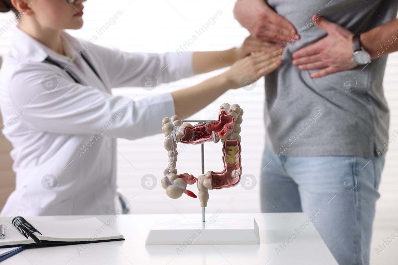 Photo of Gastroenterologist examining patient with stomach pain indoors, focus on anatomical model of large intestine