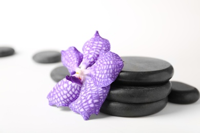 Photo of Stacked spa stones and flower on white background