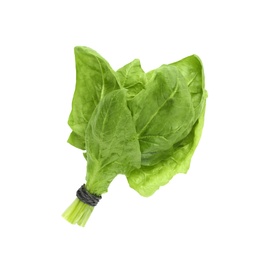 Bundle of fresh spinach isolated on white, top view