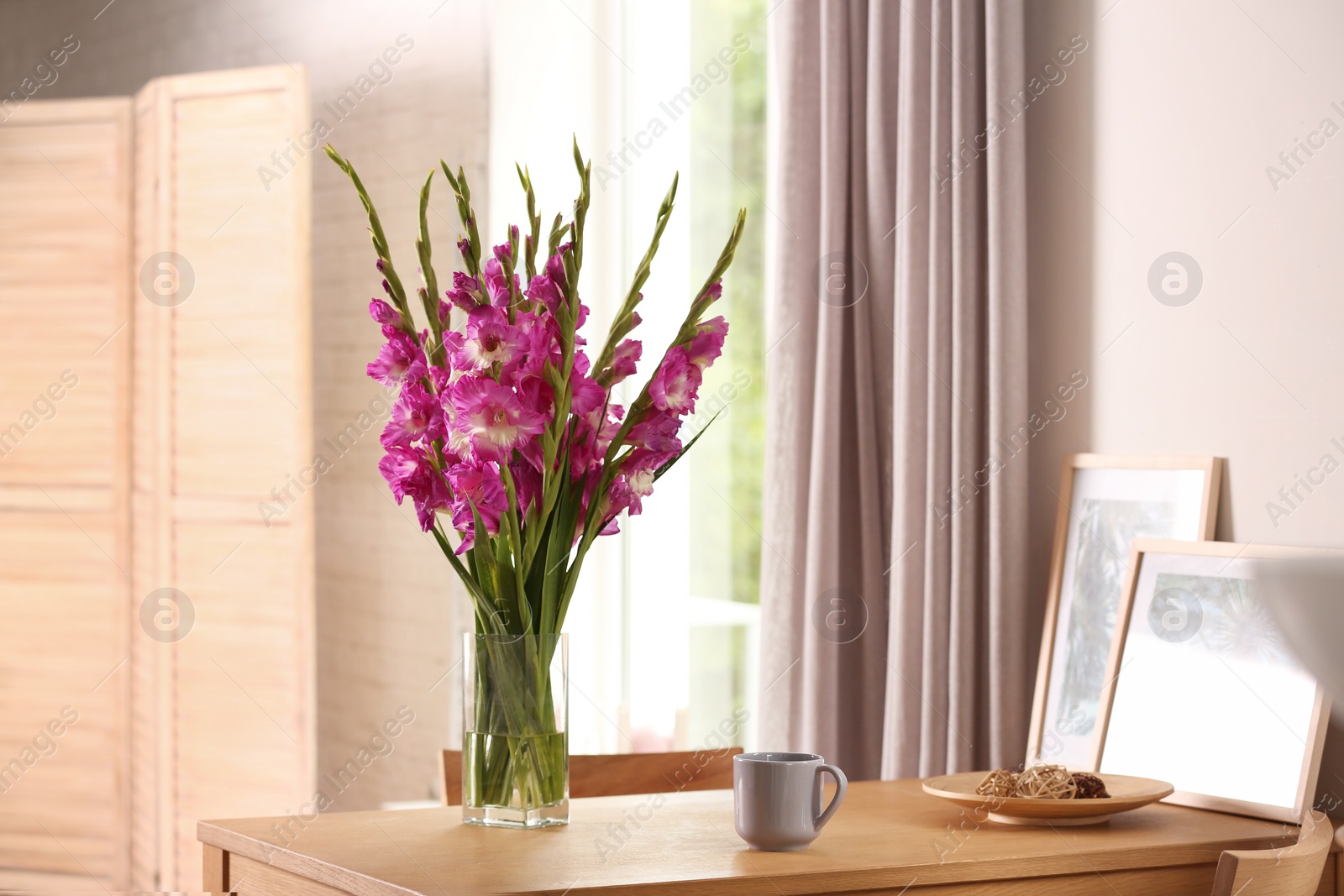 Photo of Vase with beautiful pink gladiolus flowers, pictures and cup on wooden table in room, space for text