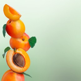 Image of Stack of fresh ripe apricots on light green gradient background. Space for text