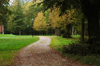 Photo of Pathway for walking and jogging in green beautiful public city park on autumn day