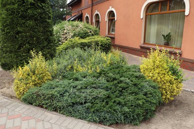 Many different beautiful plants on city street. Gardening and landscaping