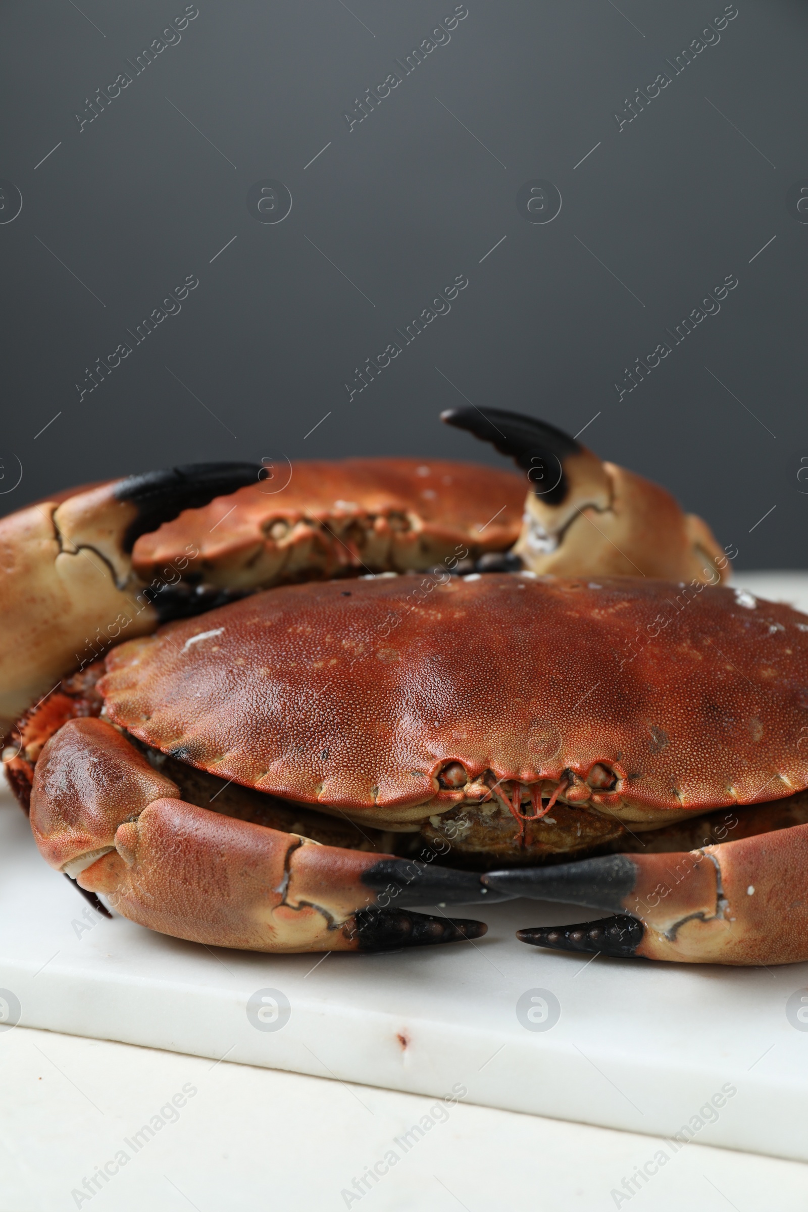 Photo of Delicious boiled crabs on white table, closeup