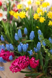Photo of Many different flowers in wooden crate, closeup. Spring season