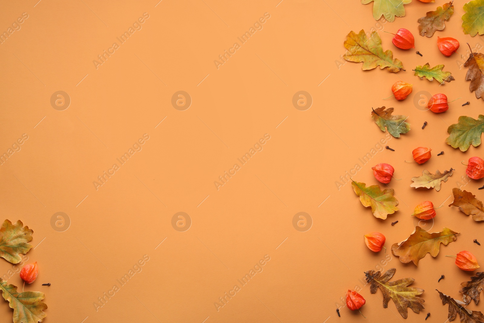 Photo of Dry autumn leaves and physalises on pale orange background, flat lay. Space for text