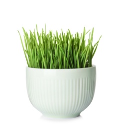 Photo of Bowl with fresh wheat grass isolated on white