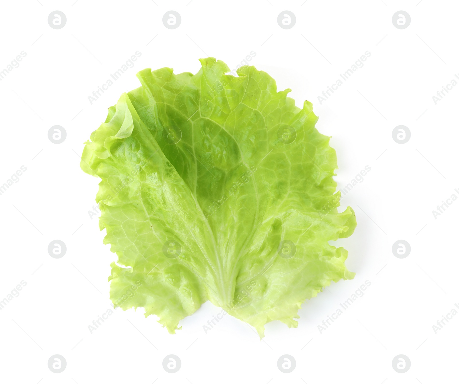 Photo of Leaf of fresh lettuce for burger isolated on white, top view