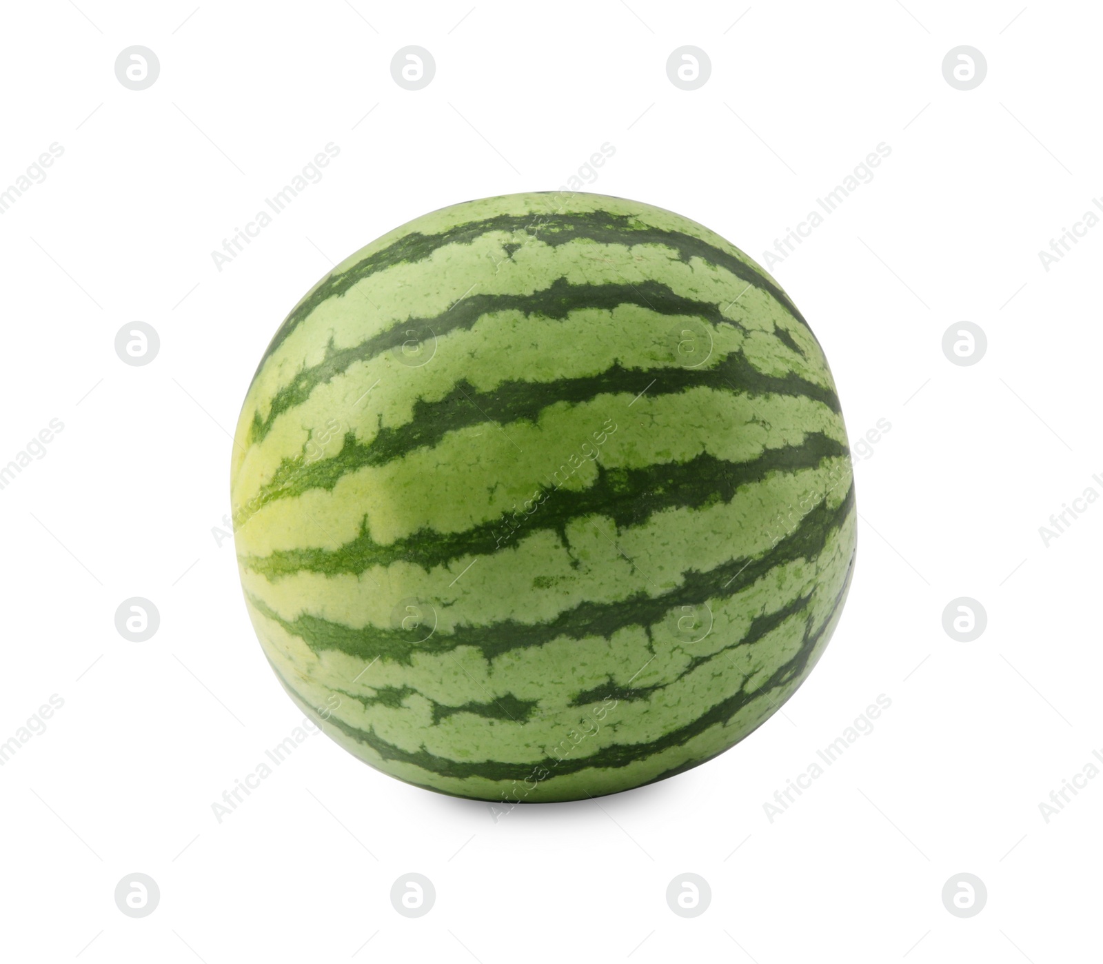 Photo of One whole ripe watermelon isolated on white