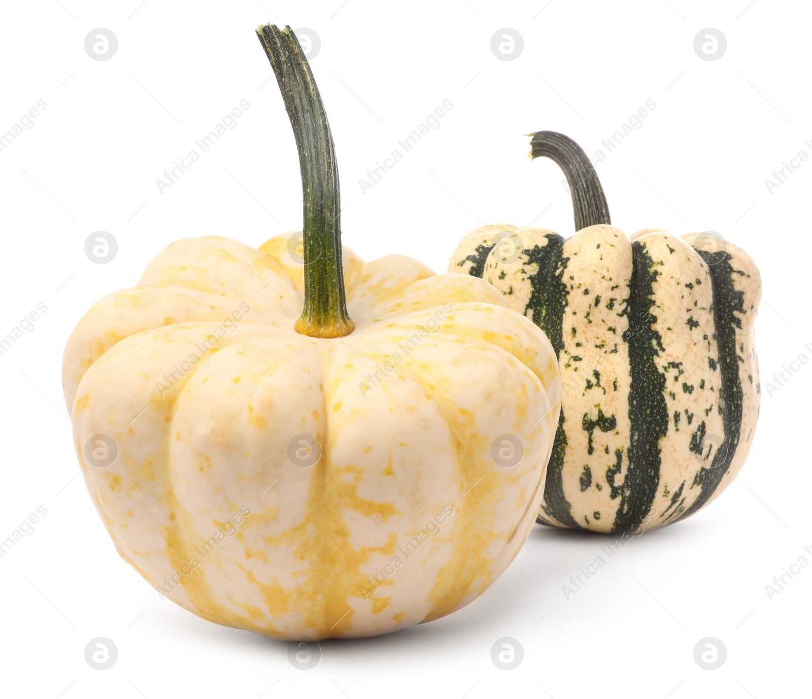 Photo of Two fresh raw pumpkins isolated on white