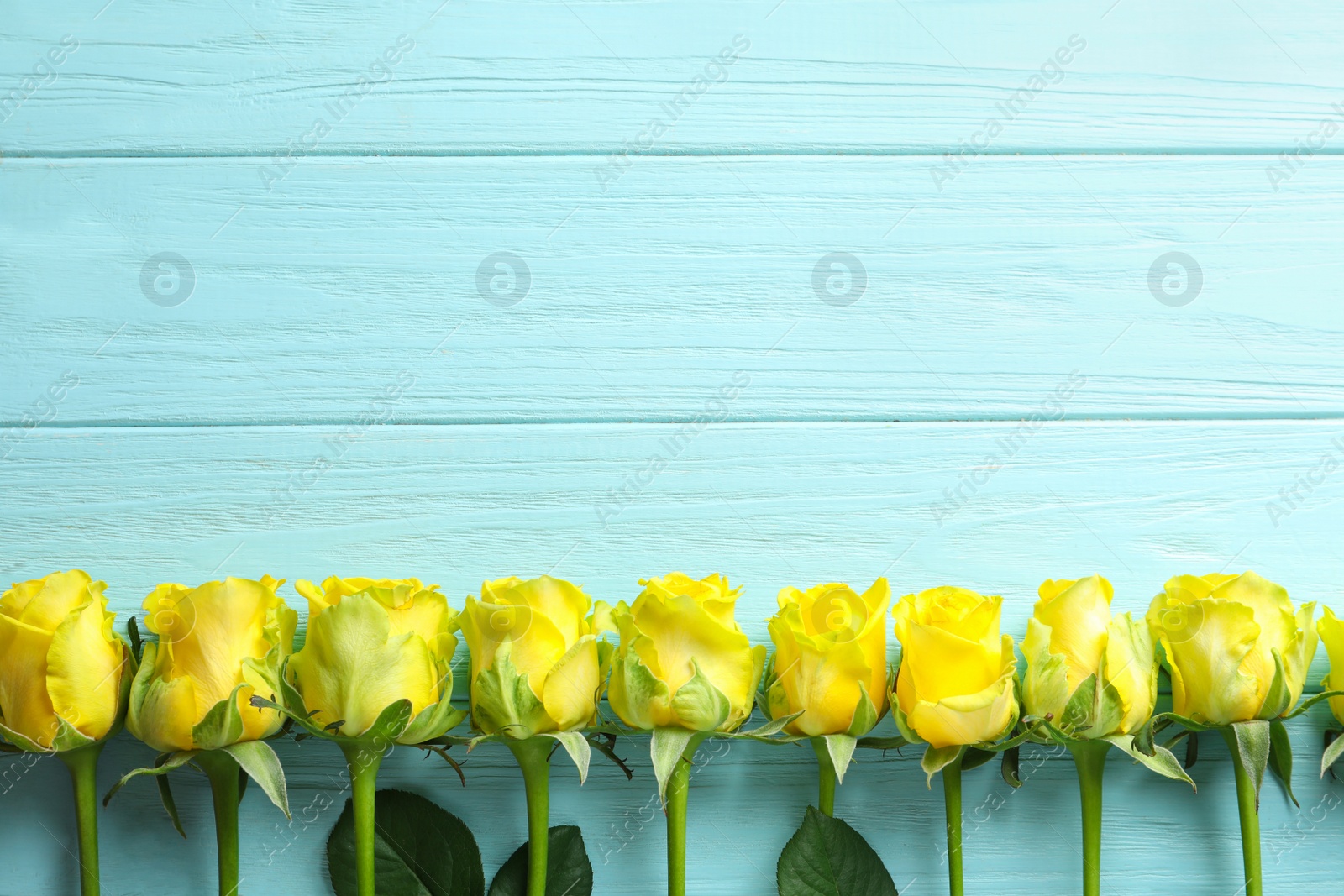 Photo of Flat lay composition with beautiful blooming flowers on wooden background