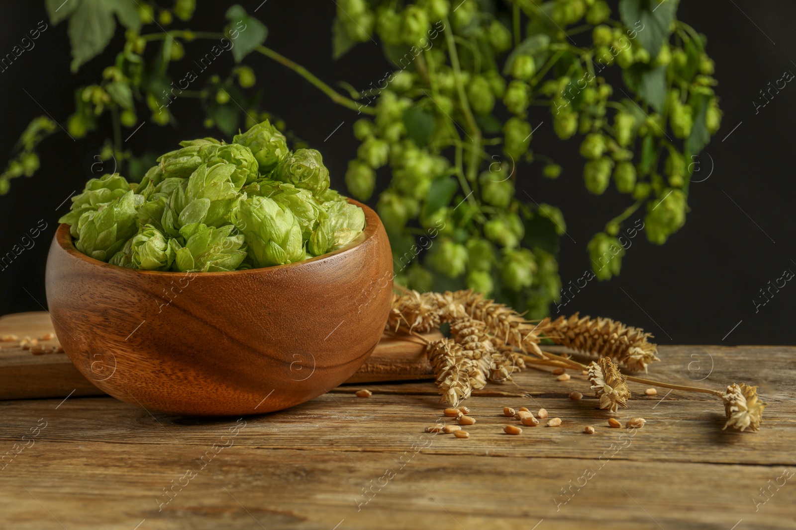 Photo of Fresh green hops, wheat grains and spikes on wooden table, space for text