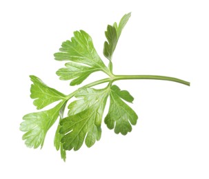 Photo of Sprig of fresh green parsley leaves isolated on white