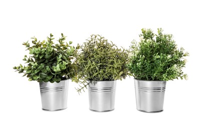 Photo of Artificial potted herbs on white background. Home decor