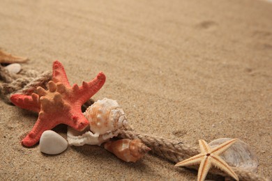Photo of Beautiful sea stars, shells and rope on sand, space for text