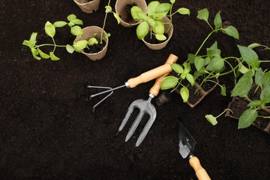 Photo of Seedlings in containers and gardening tools on ground outdoors, flat lay