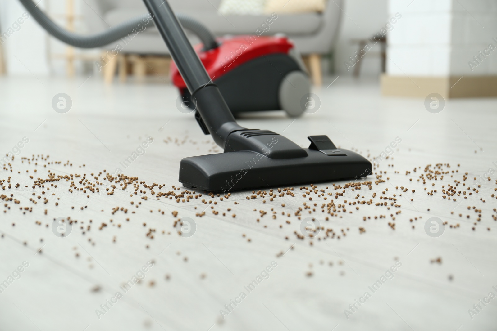 Photo of Removing groats from wooden floor with vacuum cleaner at home