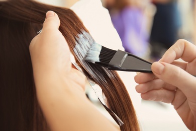 Photo of Professional hairdresser working with client in salon