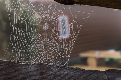 Closeup view of cobweb with dew drops near house outdoors