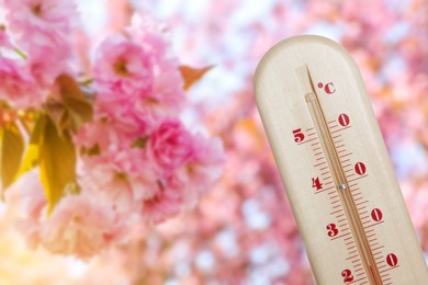 Image of Thermometer and blossoming magnolia tree outdoors. Temperature in spring