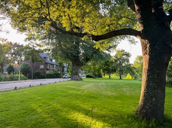 Photo of Beautiful view of green lawn and trees in park